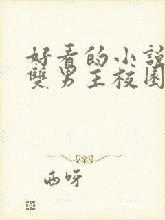 好看的小说推荐双男主校园文