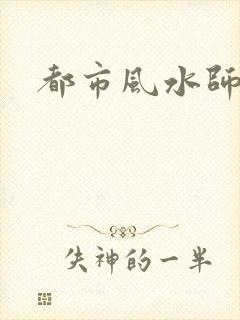 都市风水师阅读