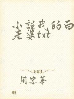小说我的白富美老婆txt