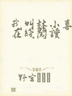 我叫林小喜小说在线阅读