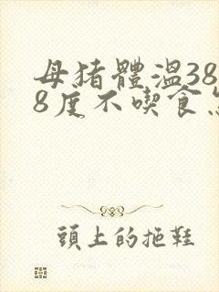 母猪体温38.8度不吃食怎么办