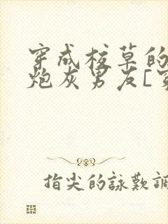 穿成校草的纯1炮灰男友[穿书]