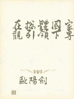 在总体国家安全观引领下专题片