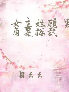 女主姓顾 男主角是总裁