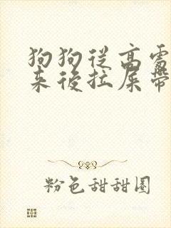 狗狗从高处摔下来后拉屎带血