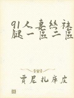 91人妻丝袜美腿一区二区