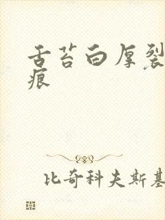 舌苔白厚裂纹齿痕