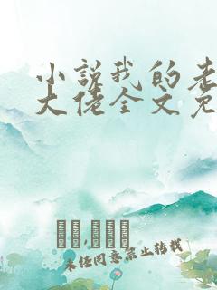 小说我的老公是大佬全文免费阅读