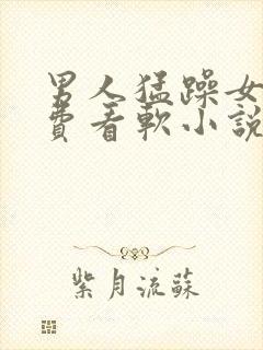 男人猛躁女人免费看软小说