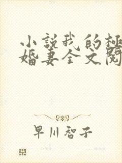 小说我的极品未婚妻全文阅读