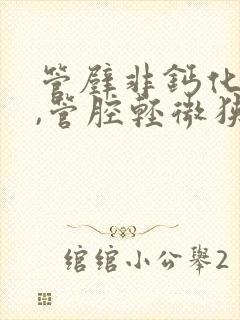 管壁非钙化斑块,管腔轻微狭窄是什么意思