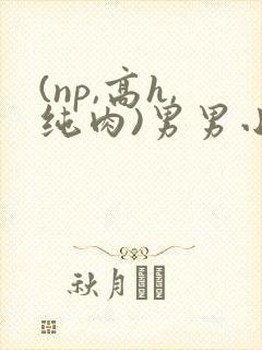 (np,高h,纯肉)男男小说
