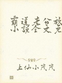 霸道老公放肆爱小说全文免费阅读