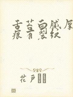 舌苔白腻厚有齿痕有裂纹