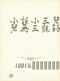 小说小三儿上位儿无三观的