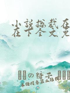 小说总裁在上我在下全文免费阅读