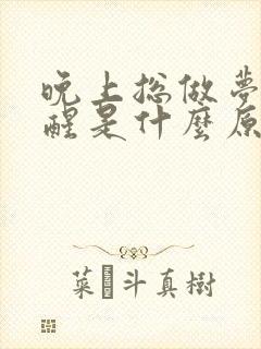 晚上总做梦睡不醒是什么原因