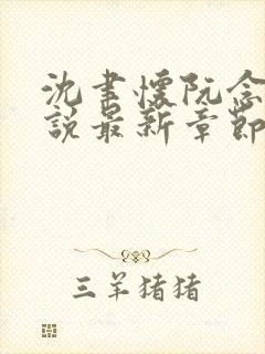 沈聿怀阮念一小说最新章节免费阅读