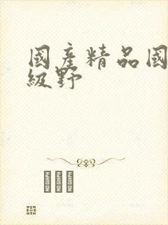 国产精品国产三级野