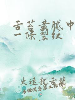 舌苔黄腻中间有一条裂纹