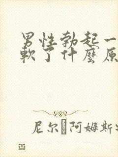 男性勃起一会就软了什么原因