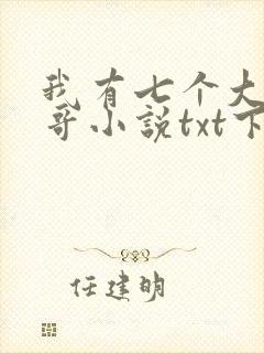 我有七个大佬哥哥小说txt下载