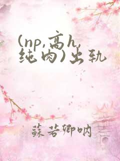 (np,高h,纯肉)出轨
