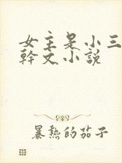 女主是小三的高干文小说