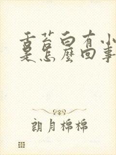 舌苔白有小裂纹是怎么回事