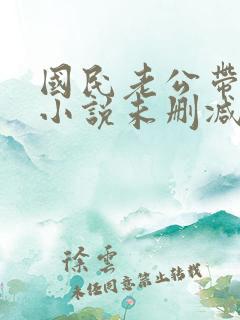 国民老公带回家小说未删减