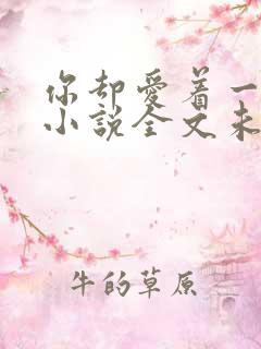 你却爱着一个他小说全文未删减免费