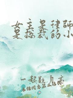 女主是律师男主是总裁的小说