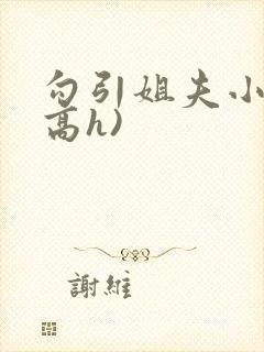 勾引姐夫小说(高h)