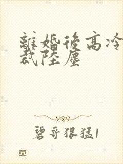 离婚后高冷女总裁陆尘