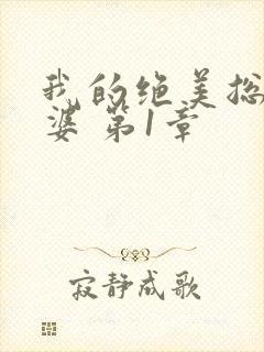 我的绝美总裁老婆 第1章