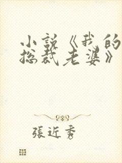 小说《我的冰山总裁老婆》