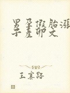 男孕假胎涨奶产子产卵文