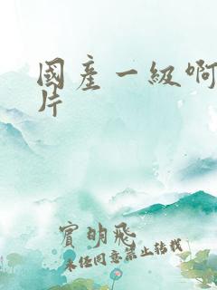 国产一级啊v一片