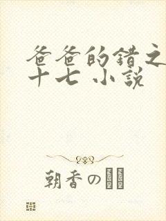 爸爸的错之女儿十七 小说