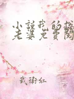 小说我的总裁大老婆免费阅读