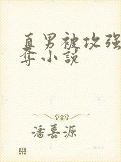 直男被攻强取豪夺小说