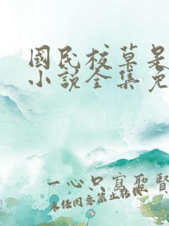 国民校草是女生小说全集免费