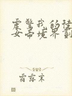 震惊我的徒弟是女帝境界划分