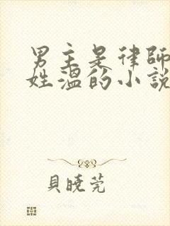 男主是律师女主姓温的小说