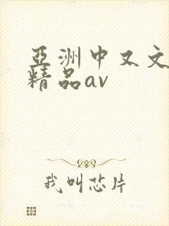 亚洲中又文字幕精品av