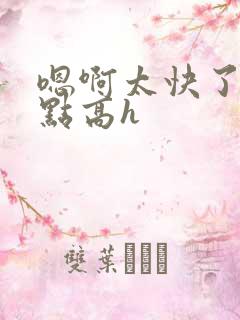 嗯啊太快了慢一点高h