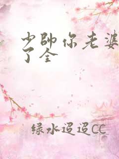 少帅你老婆又跑了全