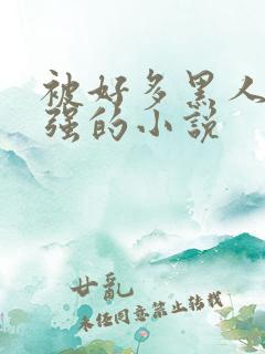 被好多黑人一启强的小说