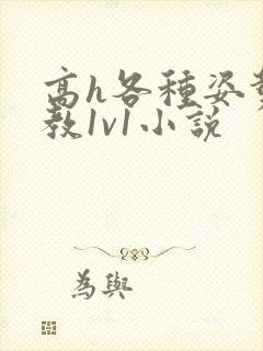 高h各种姿势调教1v1小说