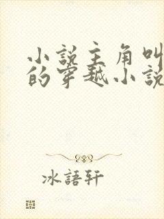 小说主角叫夏天的穿越小说